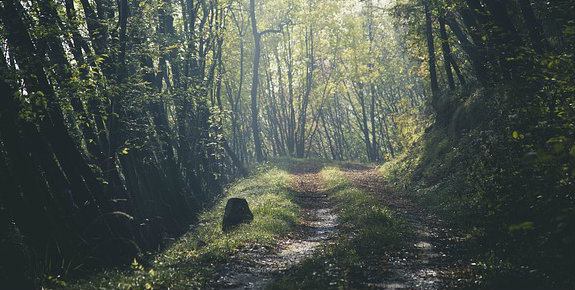 Digital Transformation